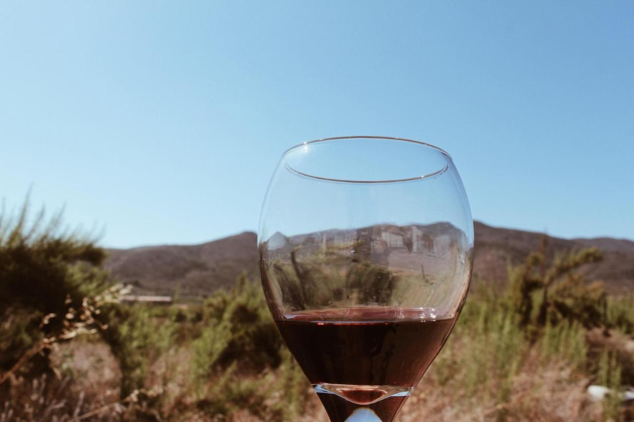 Quintas Marlet En La Ruta Del Vino 恩塞纳达港 外观 照片